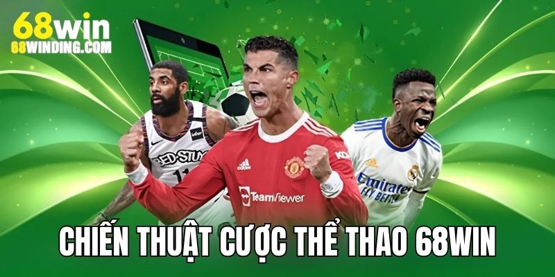 Chiến thuật tham gia cá cược hay, đảm bảo thắng lớn