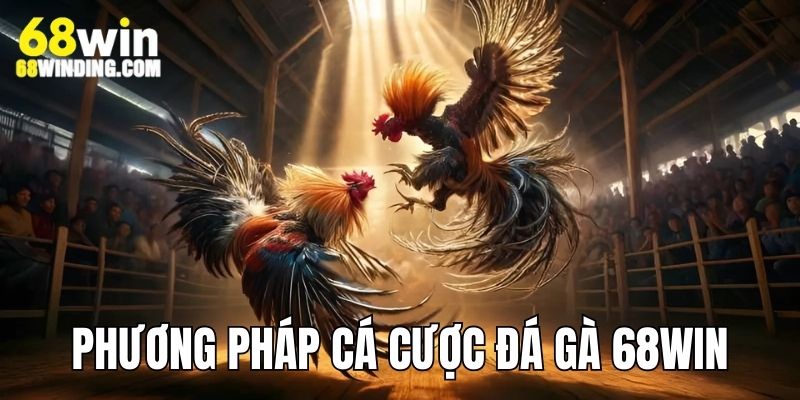 Khám phá phương pháp cá cược chọi kê hiệu quả cùng cao thủ
